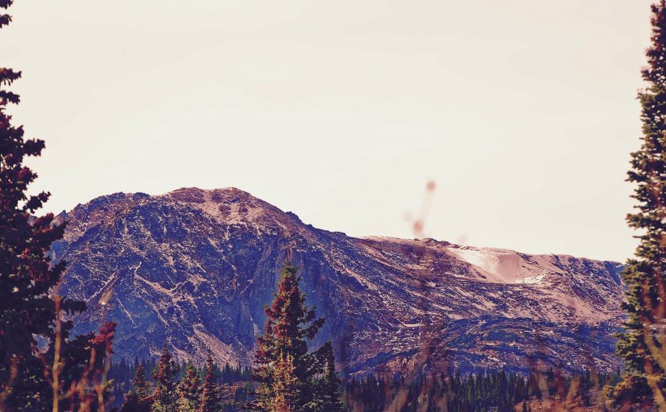 Free Image of Warm-toned mountain range and pine trees 