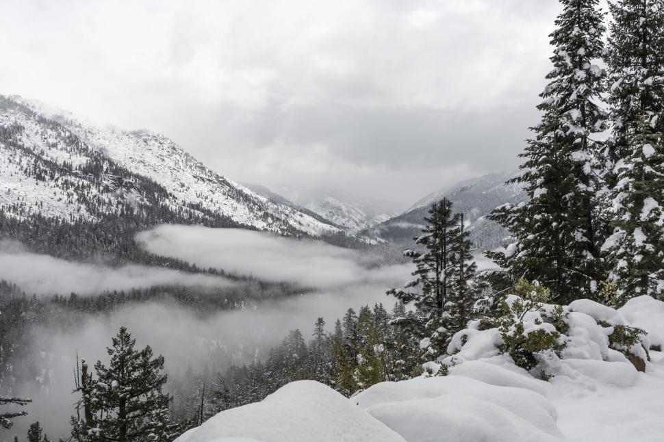 Free Image of Snow-covered mountains with fog and trees 
