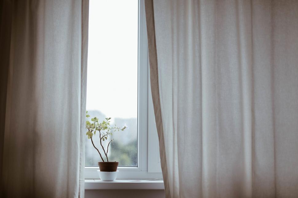 Free Image of Potted plant on window sill in soft light 