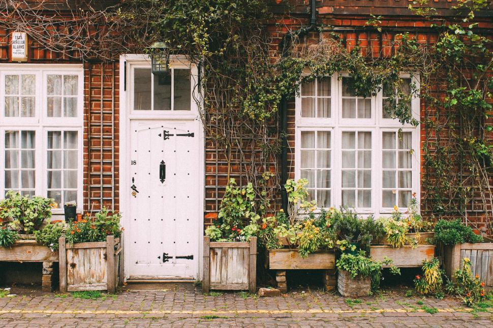 Free Image of Ivy-covered brick house with flower boxes 