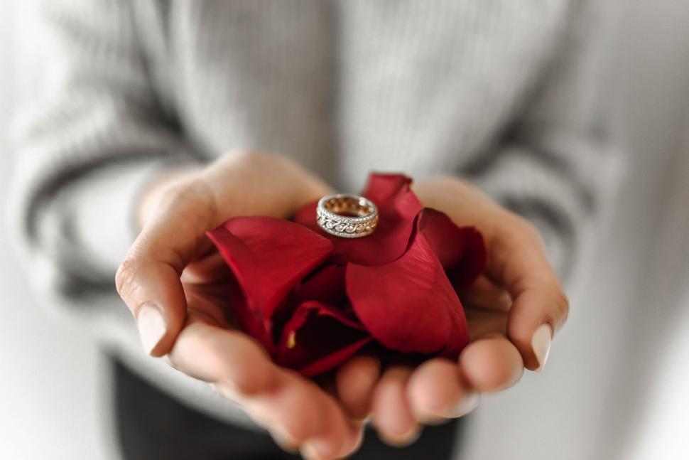 Free Image of Romantic engagement ring in red rose petals 