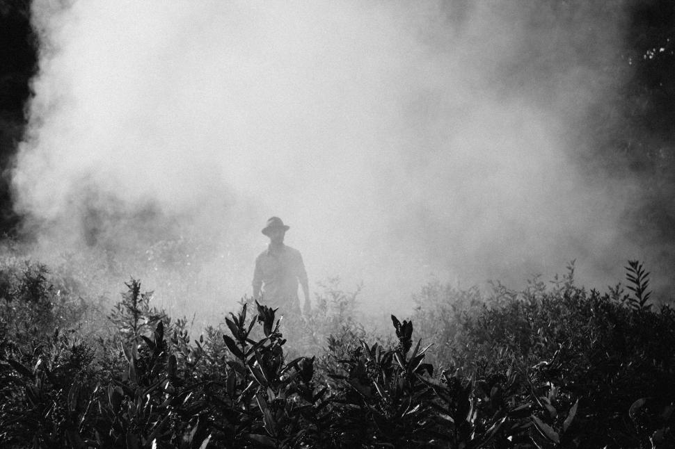 Free Image of Man in a hat amidst foggy field 