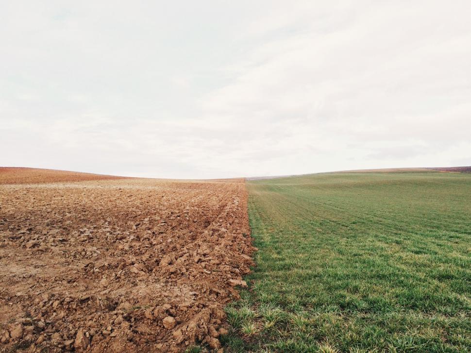 Free Image of Contrast of plowed and green fields 