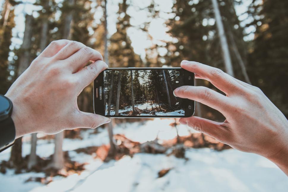 Free Image of Capturing the forest through a smartphone 