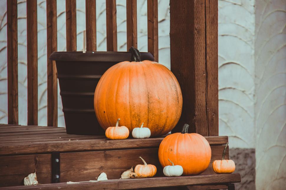Free Image of Pumpkins on a wooden porch in autumn 