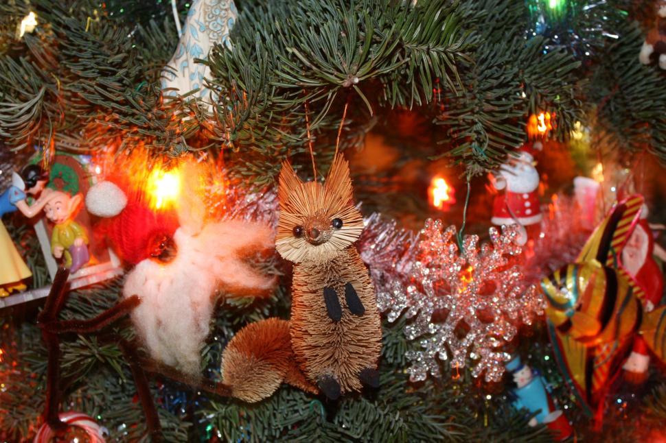 Free Image of Christmas tree fox 