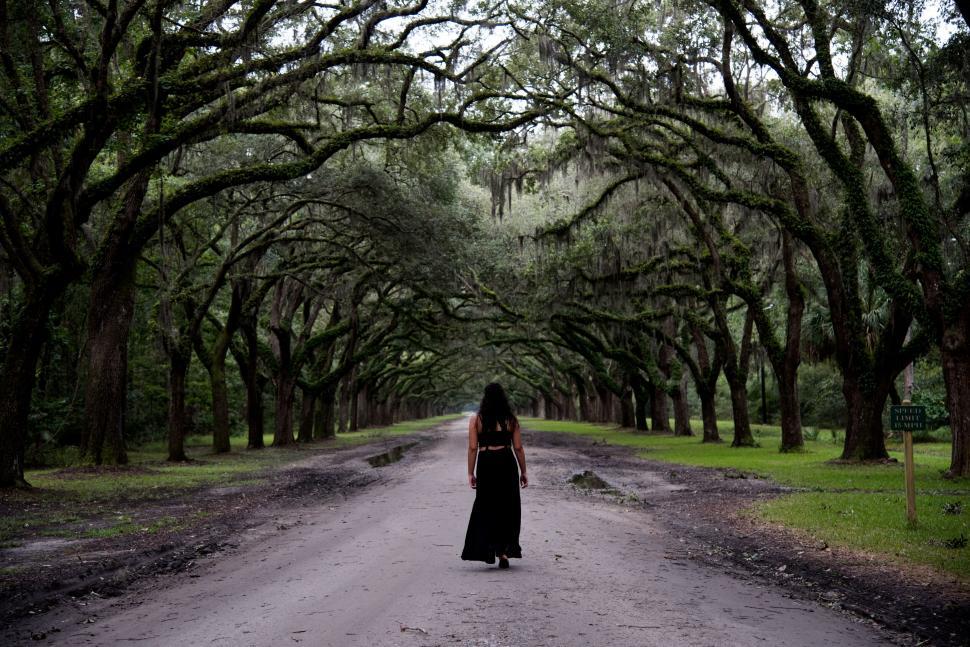 Free Image of Woman walking down a tree-lined pathway 