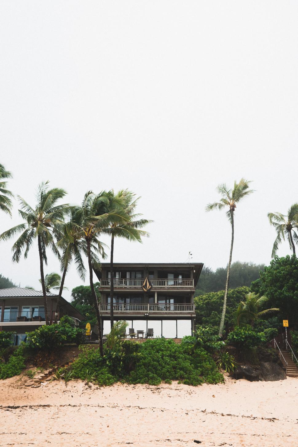 Free Image of Beachfront house amidst palm trees 