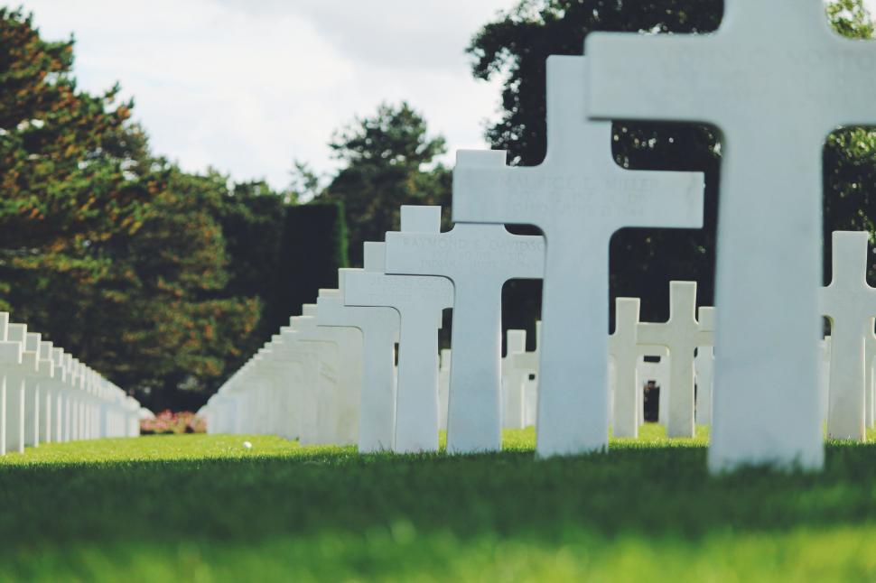 Free Image of White crosses in military cemetery 