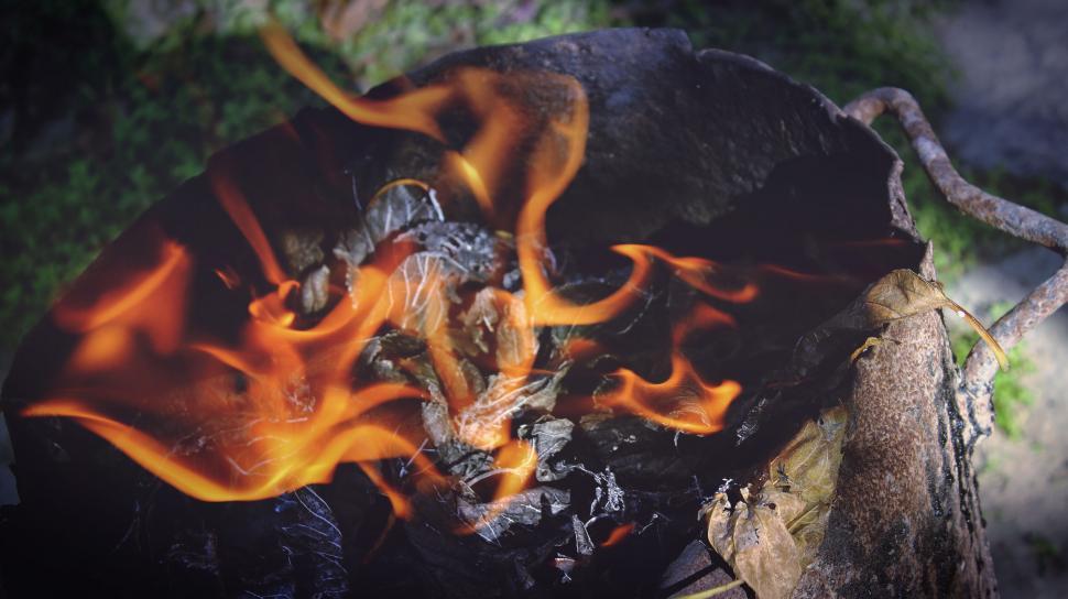 Free Image of Dancing flames consuming wood in daylight 