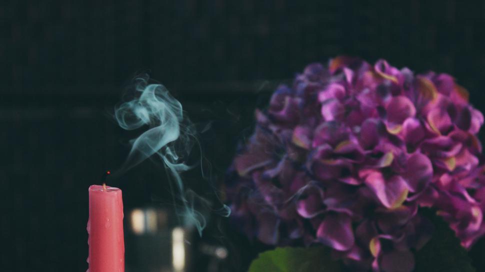 Free Image of Extinguished candle with smoke and flower 