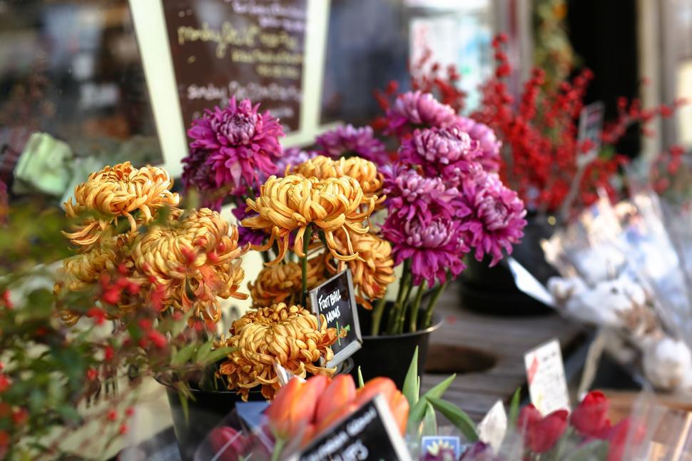 Free Image of Colorful flower bouquets at a market stall 