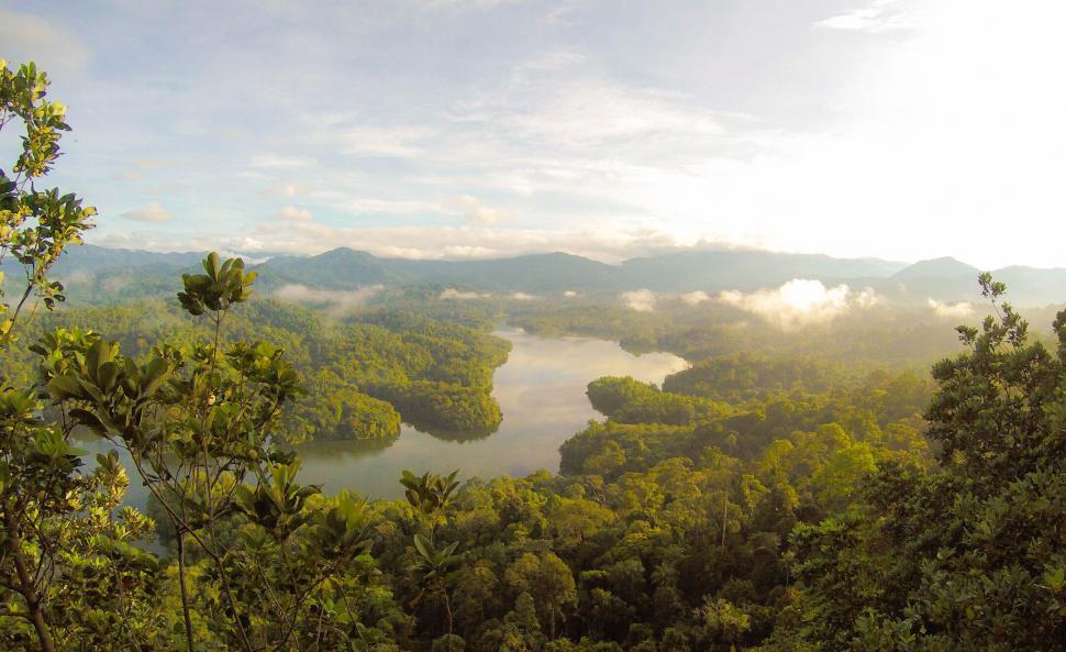 Free Image of Panoramic view of a tropical forest landscape 