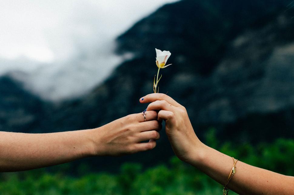 Free Image of Holding a flower in front of mountain 