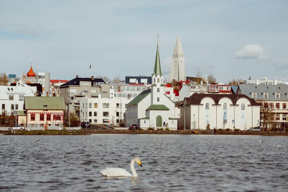 Free Image of Reykjavik cityscape with church and swan 
