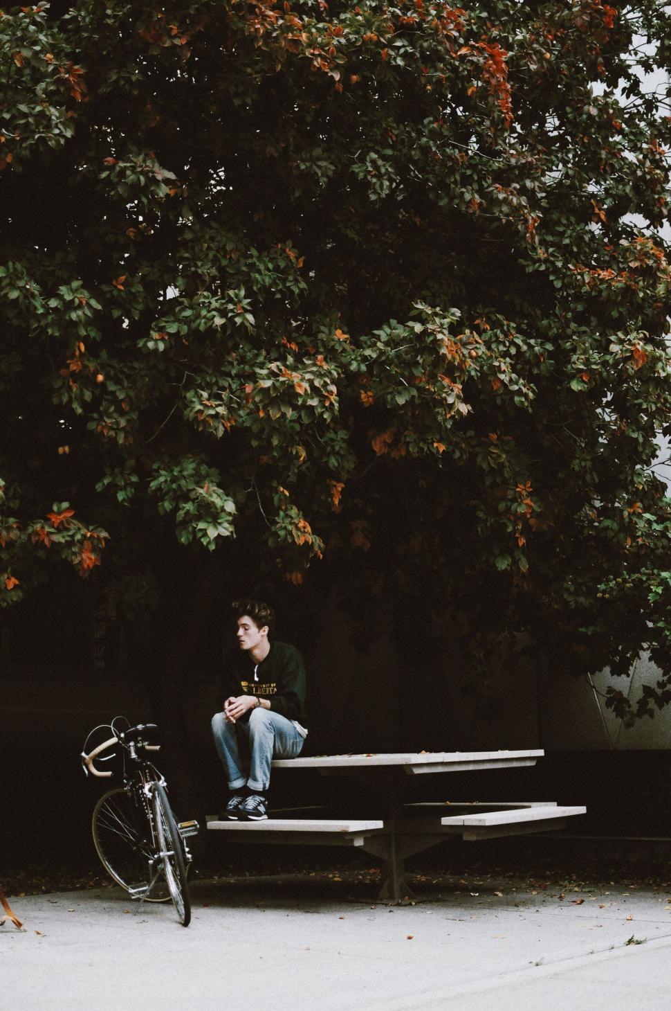 Free Image of Person reading book on bench with bicycle 