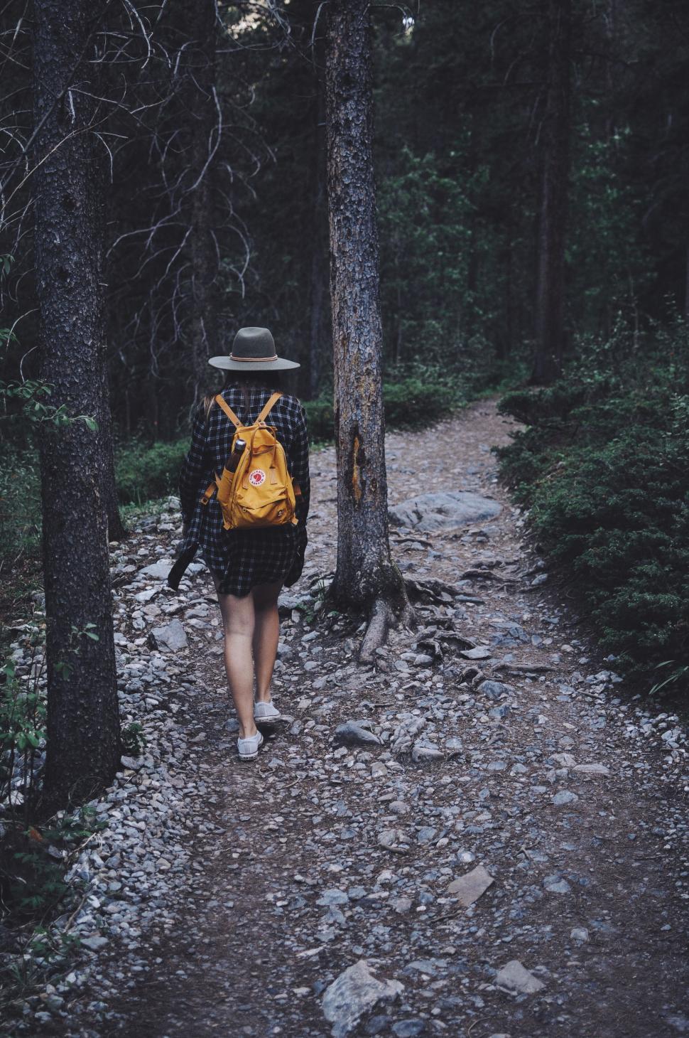 Free Image of Person hiking in forest with yellow backpack 