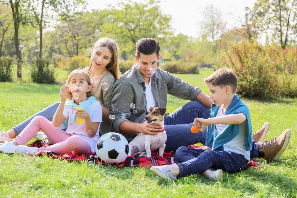Free Image of Family picnic blowing bubbles dog near football 