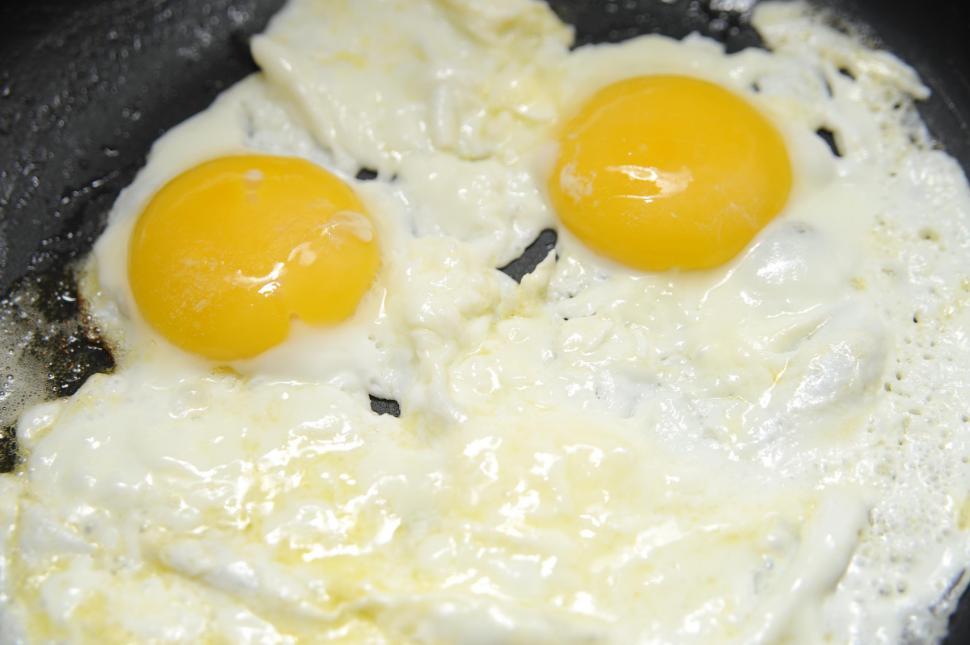 Free Image of Fried Eggs 