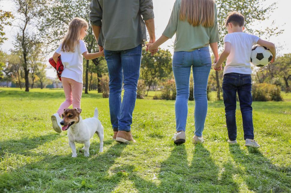 Free Image of Family with dog on grass field in summer 