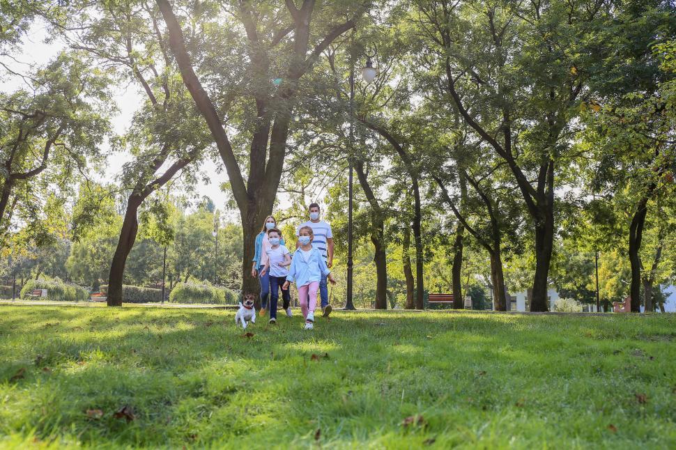 Free Image of Family and dog walking away on grassy path 