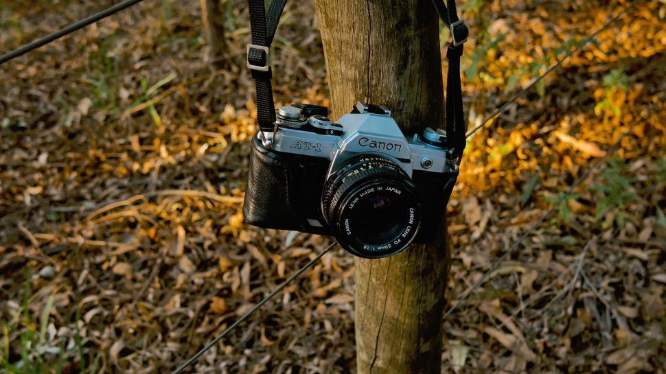 Free Image of Canon camera suspended on wooden post outdoors 