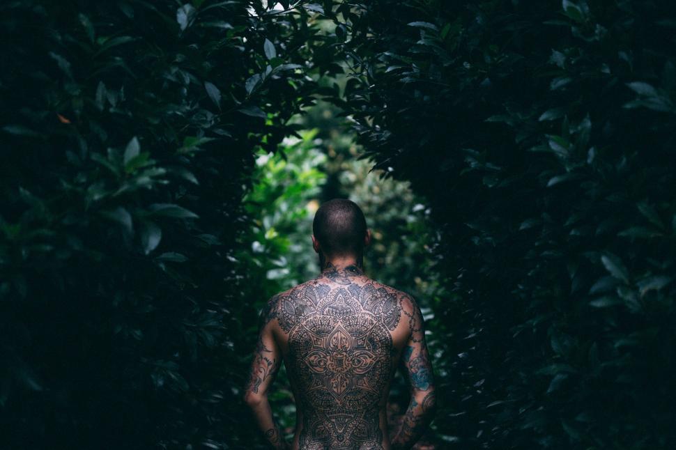 Free Image of Tattooed man standing between green foliage 