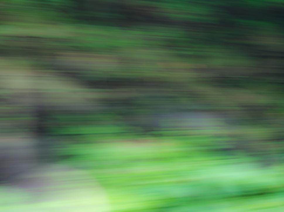 Free Image of Blurry green and brown nature background 