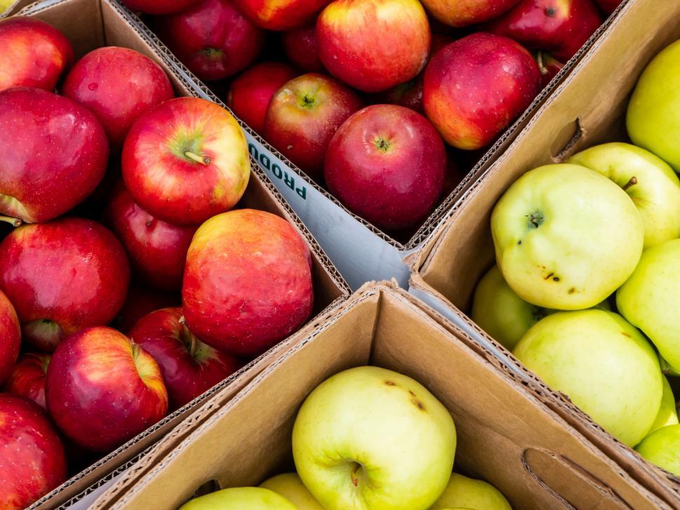 Free Image of Fresh red and green apples in crates 