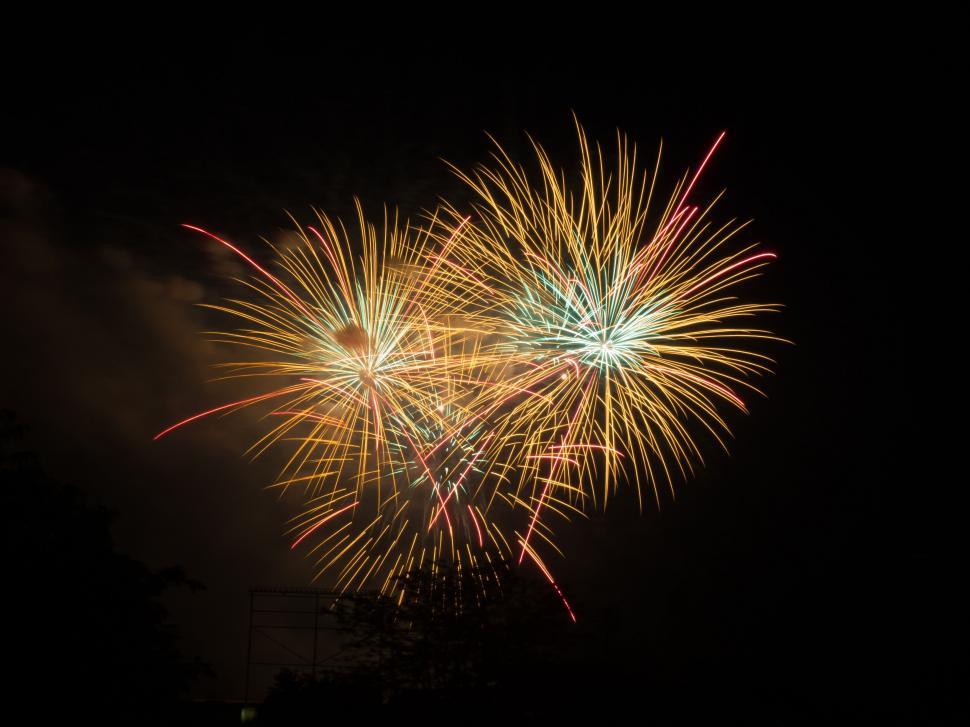 Free Image of Vivid fireworks painting the night sky 