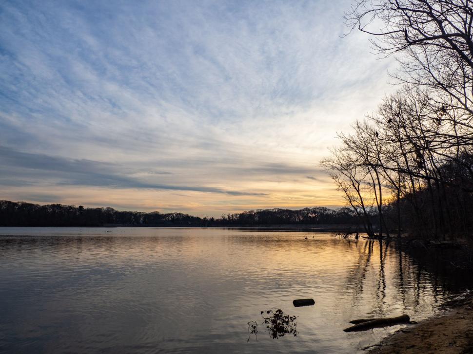 Free Image of Serene lake at sunset with barren trees 