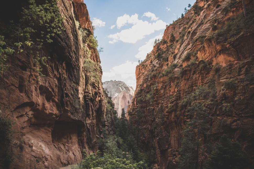 Free Image of Zion Canyon enveloped by red rock walls 