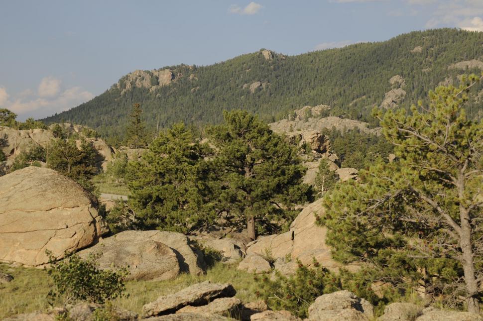 Free Image of Rocky mountain 