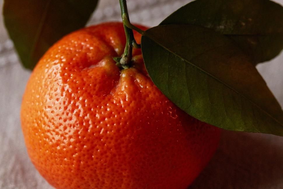 Free Image of Close-up of an orange with leaves attached 