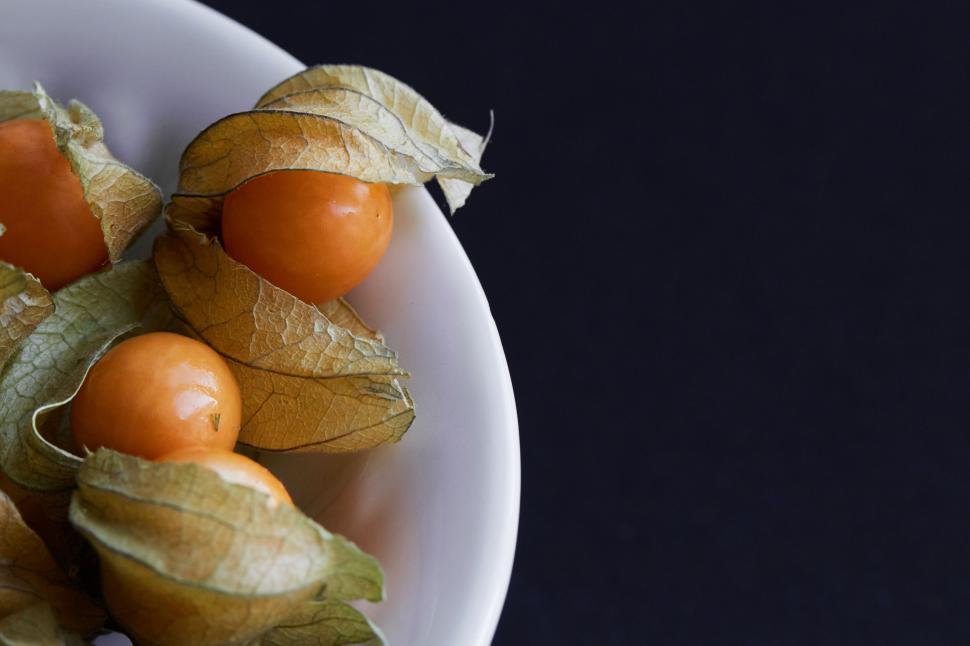 Free Image of Physalis fruit in simplistic composition 