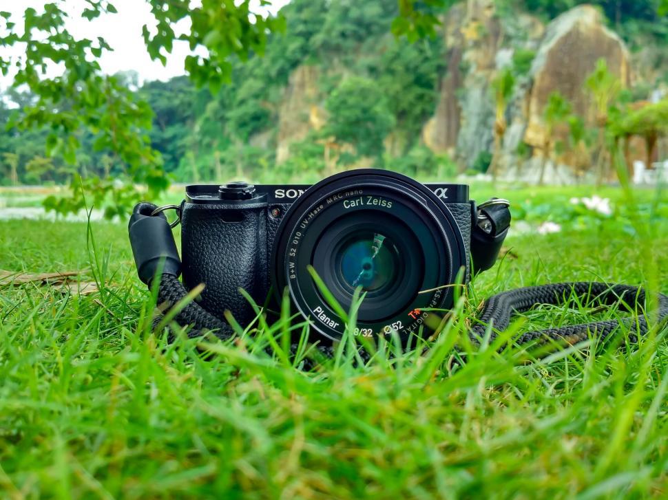Free Image of Sony camera lying on grassy field 