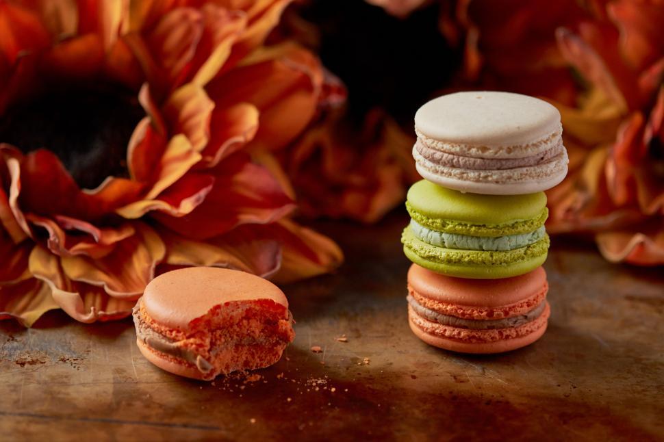 Free Image of Colorful macarons surrounded by vivid flowers 