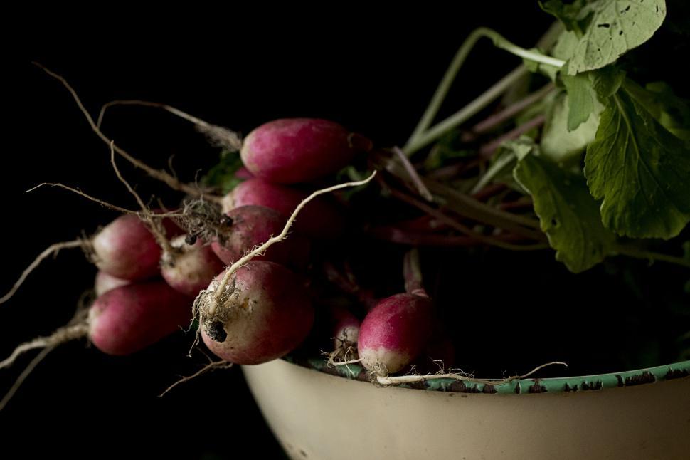 Free Image of Fresh radishes in a vintage bowl 