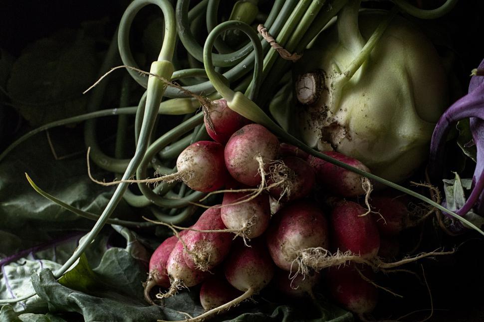 Free Image of Fresh organic radishes bunch with greens 