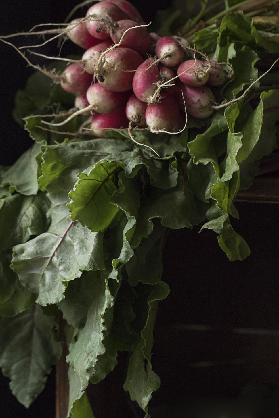 Free Image of Fresh radishes with greens in rustic setting 