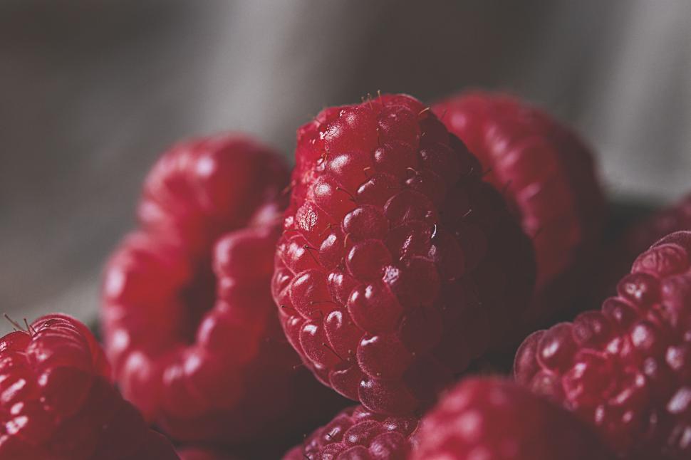 Free Image of Close-up of juicy red raspberries 