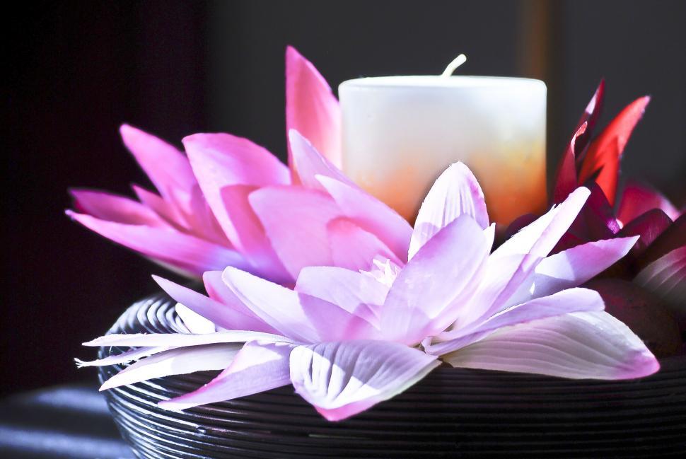 Free Image of Candle surrounded by vibrant pink petals 