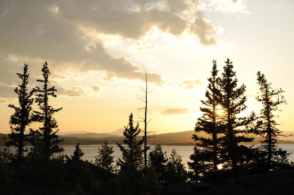 Free Image of Sunset over trees and lake  
