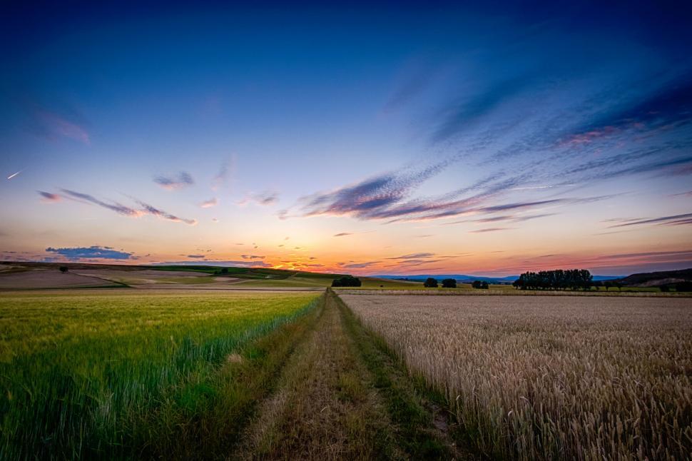 Free Image of Sunset over tranquil farmland 