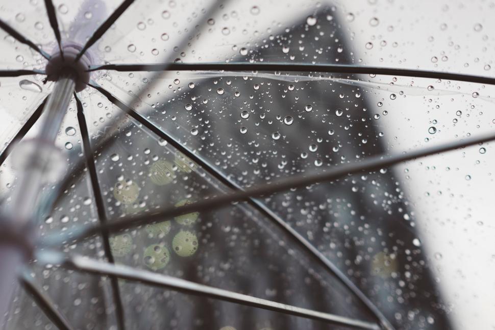 Free Image of Raindrops on a transparent umbrella closeup 
