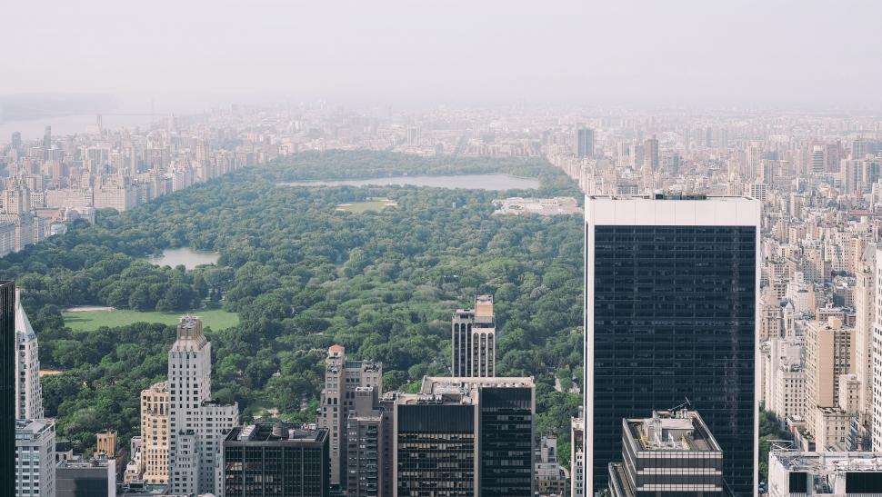 Free Image of Aerial view of Central Park in New York 
