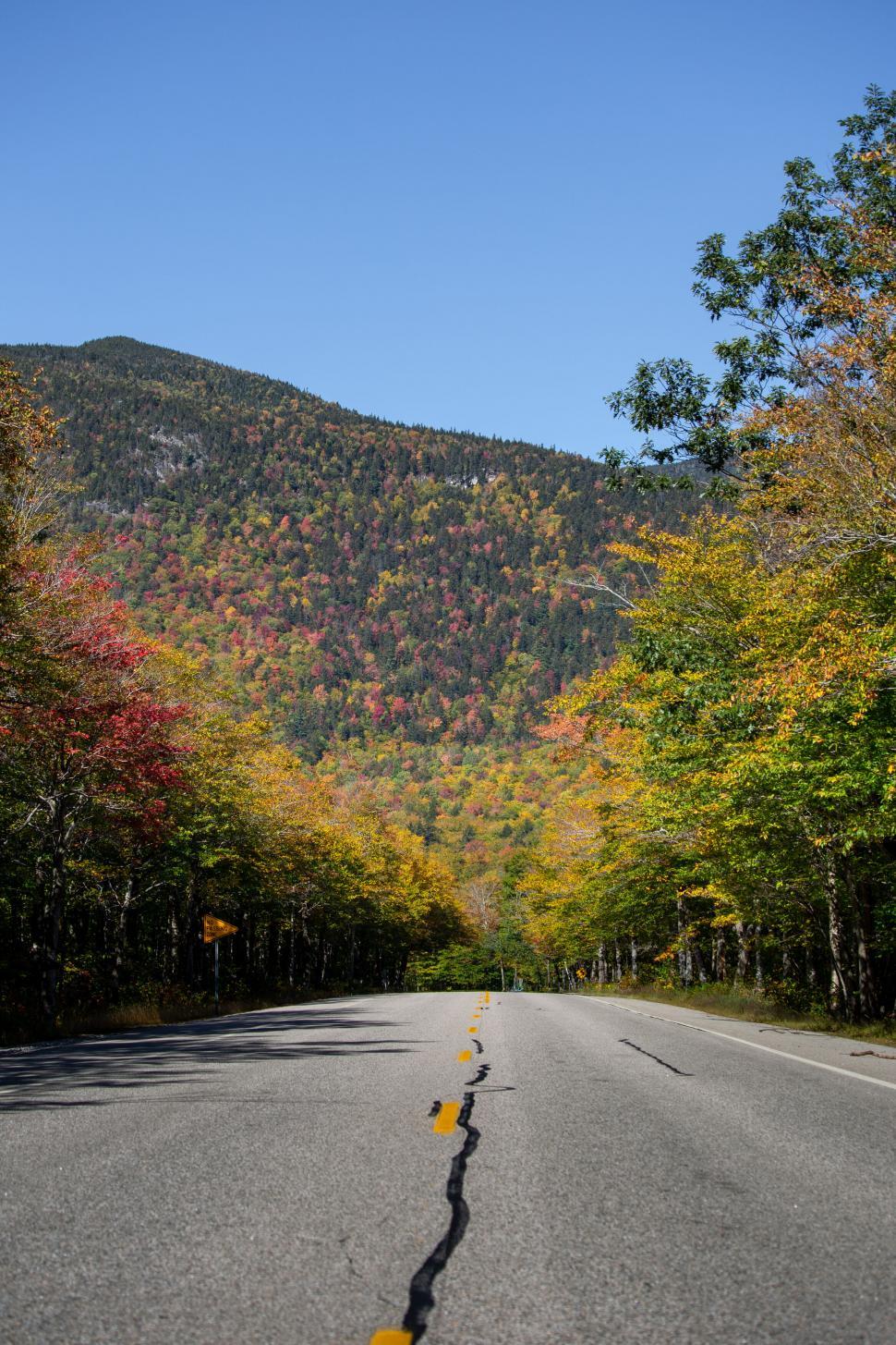 Free Image of Scenic mountain road in autumn 