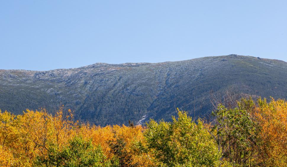 Free Image of Autumn foliage against a mountain backdrop 