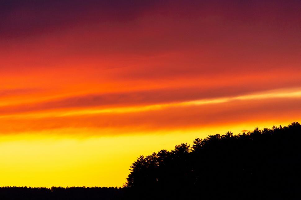 Free Image of Vivid sunset skies over silhouette forest 