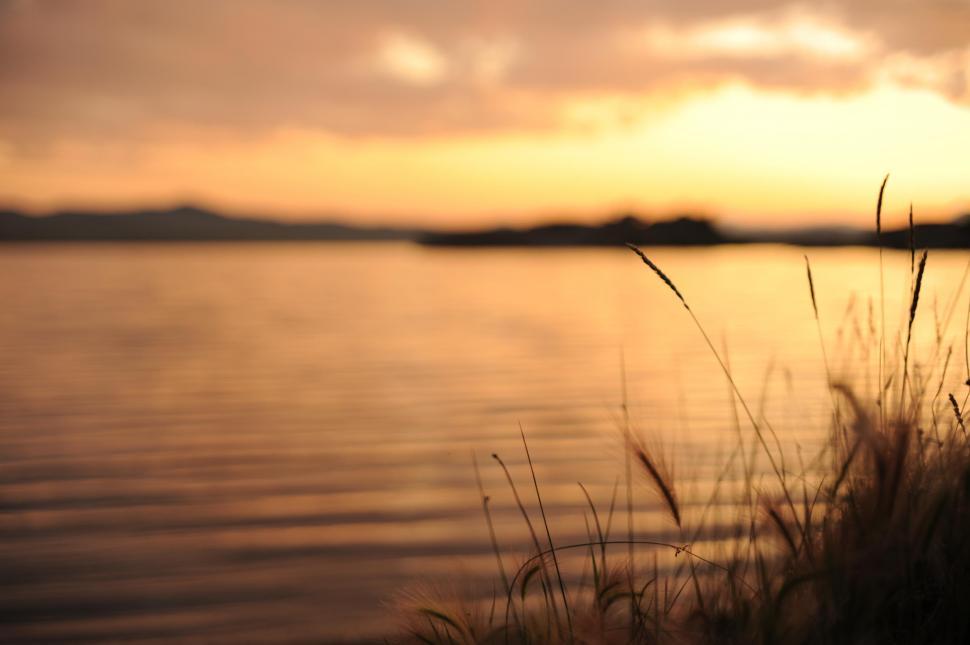 Free Image of Lake and Grass during sunset   